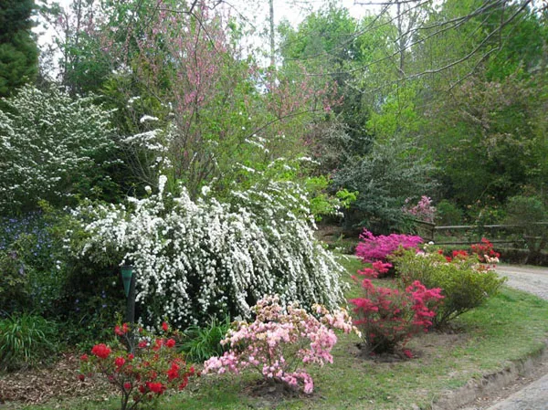 Maple Grove property