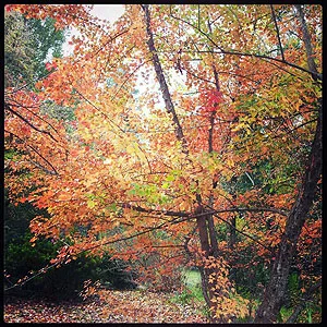 Coast to Country photo 3