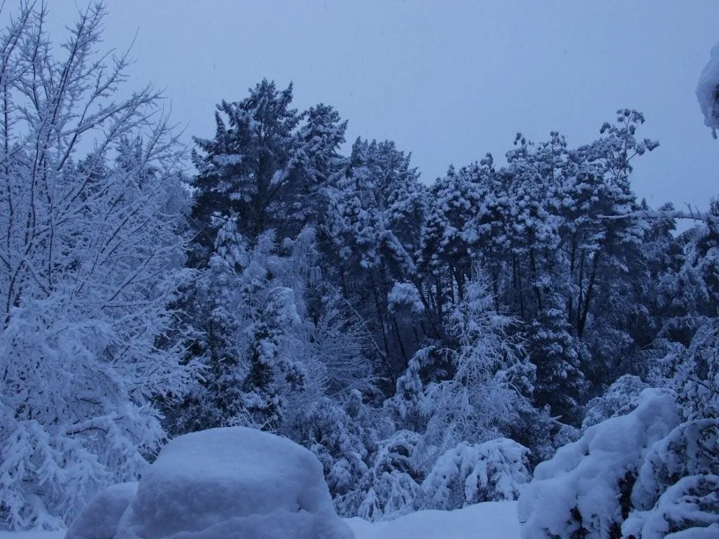 Coast to Country photo 1