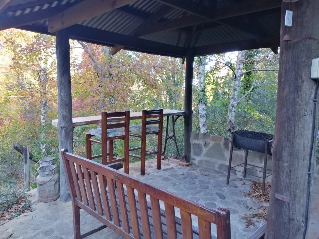 Winter Special photo 3